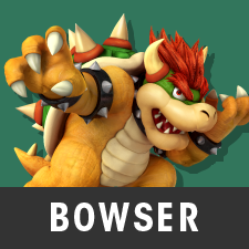 bowser