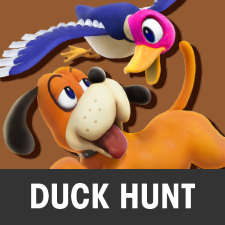 duck hunt